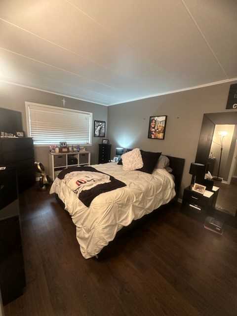 bedroom featuring dark wood-type flooring