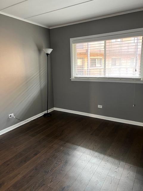 spare room with ornamental molding and dark hardwood / wood-style floors