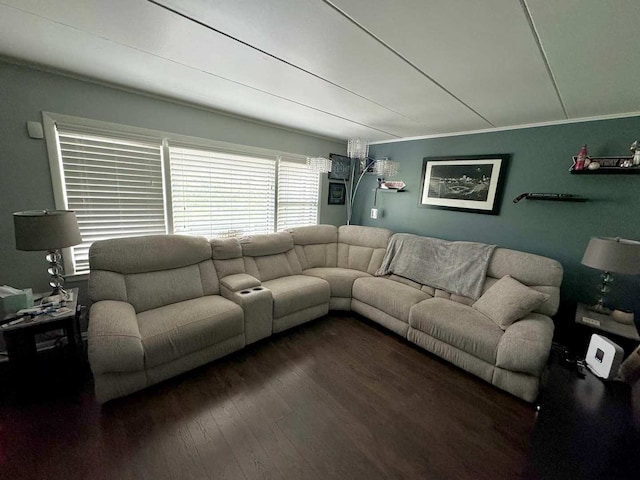 living room featuring dark hardwood / wood-style floors