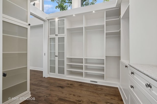 28 Brinker Rd, Barrington Hills, IL 60010 - walk in closet featuring dark wood-style flooring