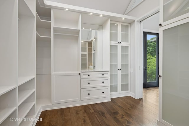 28 Brinker Rd, Barrington Hills, IL 60010 - walk in closet with dark wood-style floors