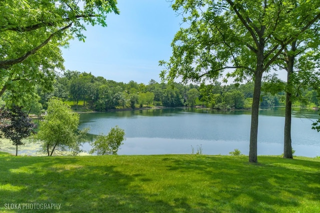 28 Brinker Rd, Barrington Hills, IL 60010 - water view