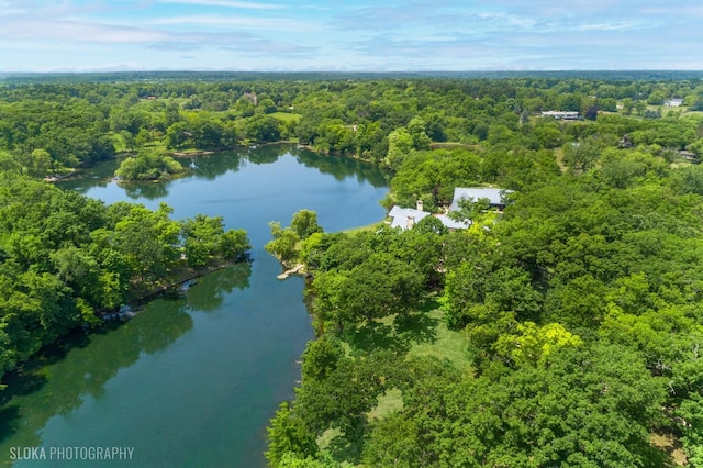28 Brinker Rd, Barrington Hills, IL 60010 - bird's eye view of a heavily wooded area and a large body of water