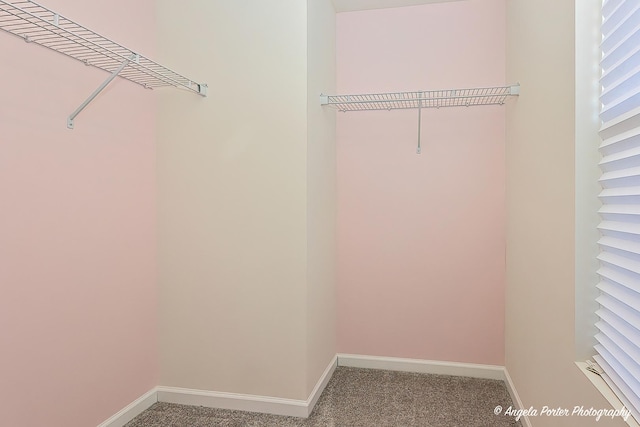 spacious closet with carpet