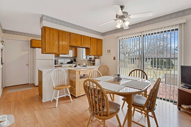 dining room featuring ceiling fan and light hardwood / wood-style floors