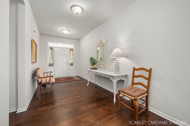 entrance foyer with dark wood-type flooring