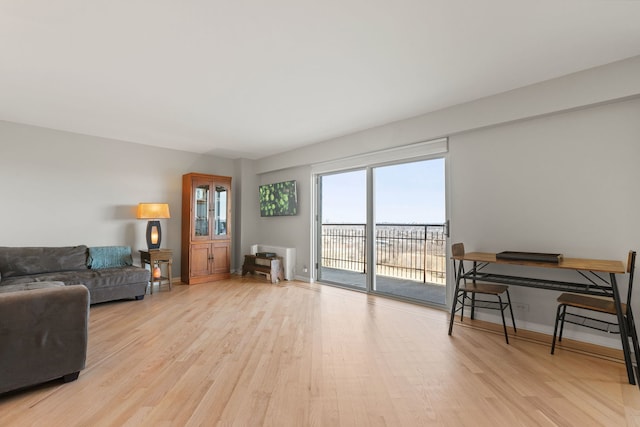 living room with light wood-type flooring