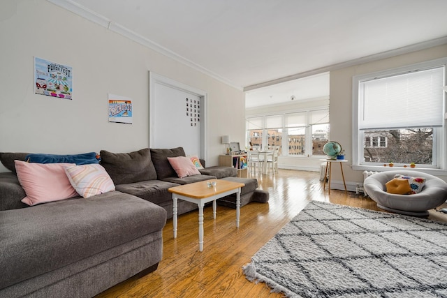 living room featuring ornamental molding and hardwood / wood-style floors