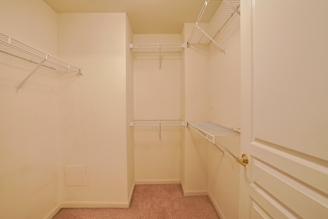 spacious closet featuring light carpet