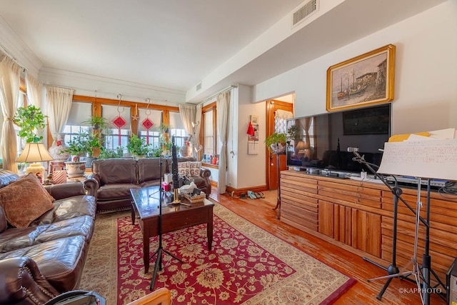 living room featuring hardwood / wood-style floors