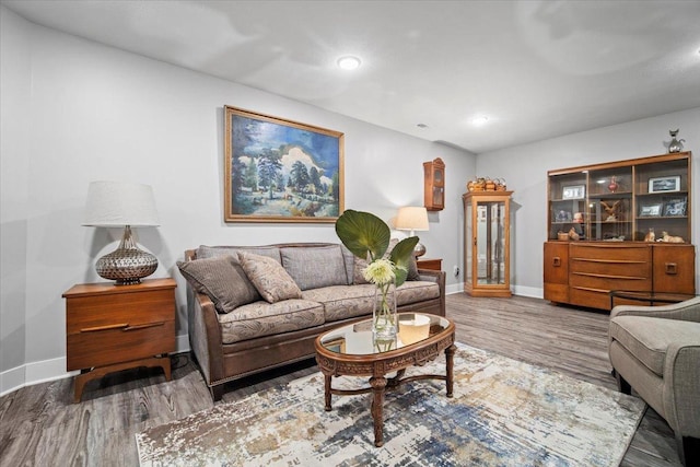 living room with hardwood / wood-style floors