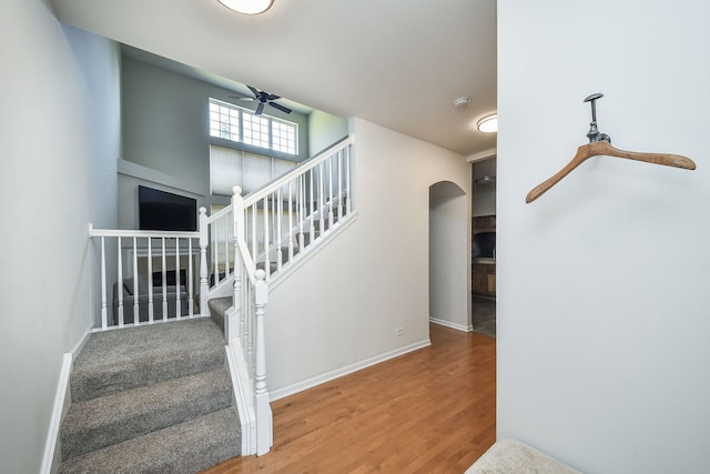 stairs featuring ceiling fan and wood-type flooring