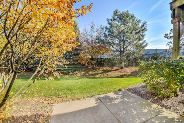 view of yard with a patio area