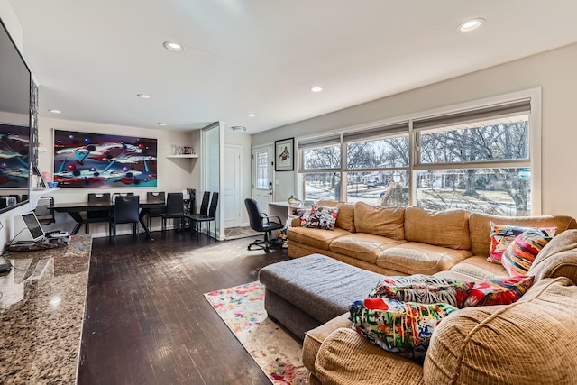 living room with dark wood-type flooring