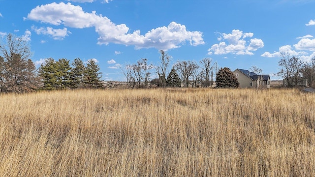 view of local wilderness