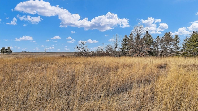 view of local wilderness featuring a rural view