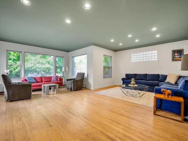 living room featuring light wood-type flooring