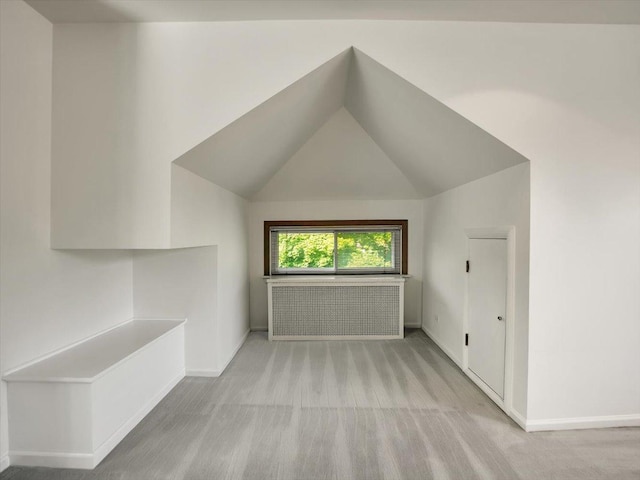 additional living space with lofted ceiling and light colored carpet