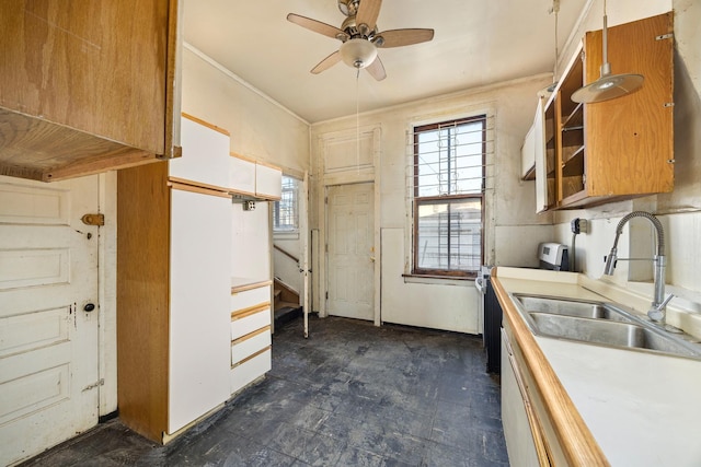 kitchen with sink, crown molding, stainless steel range oven, and ceiling fan