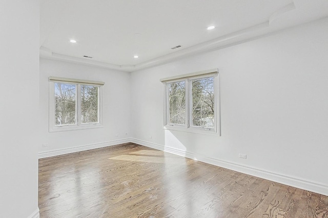 unfurnished room featuring a healthy amount of sunlight and wood-type flooring