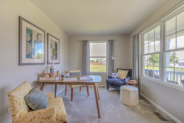 carpeted office space with a healthy amount of sunlight