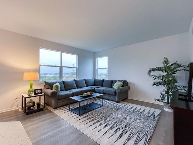 living room featuring hardwood / wood-style flooring