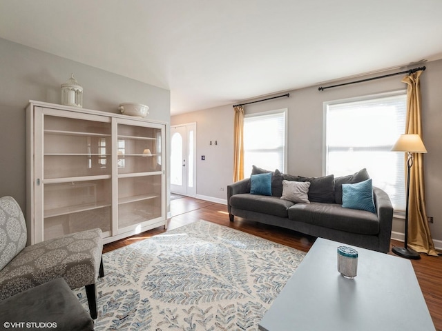 living room with wood-type flooring