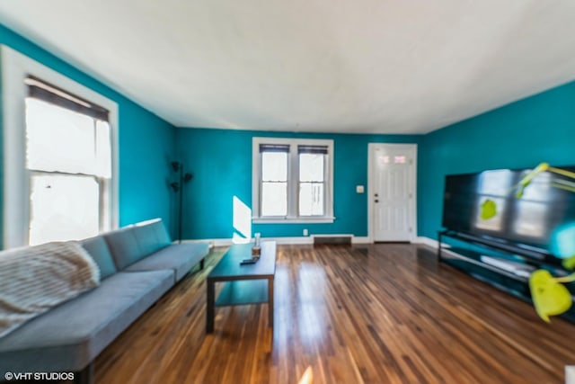 living area featuring baseboards and wood finished floors