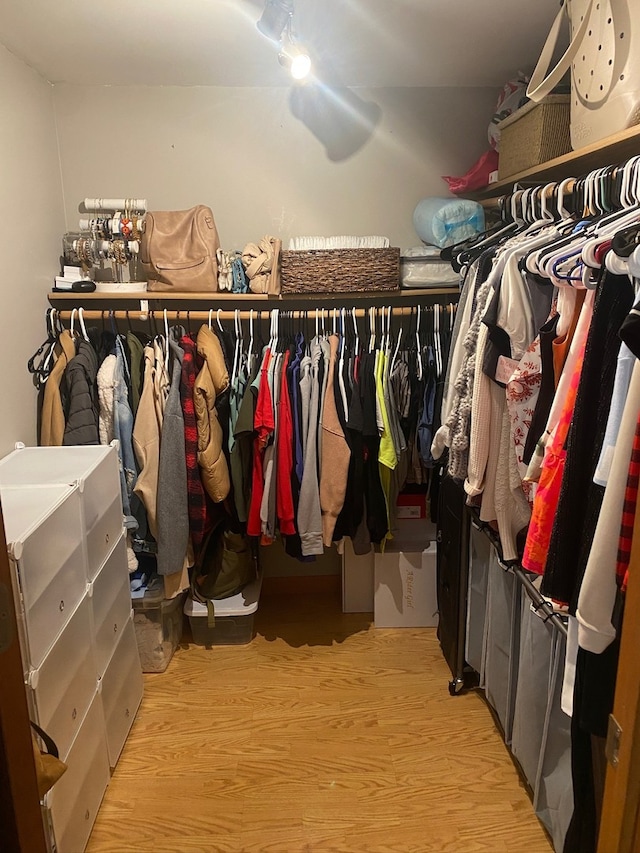 spacious closet featuring light wood-type flooring