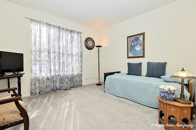 bedroom with carpet flooring