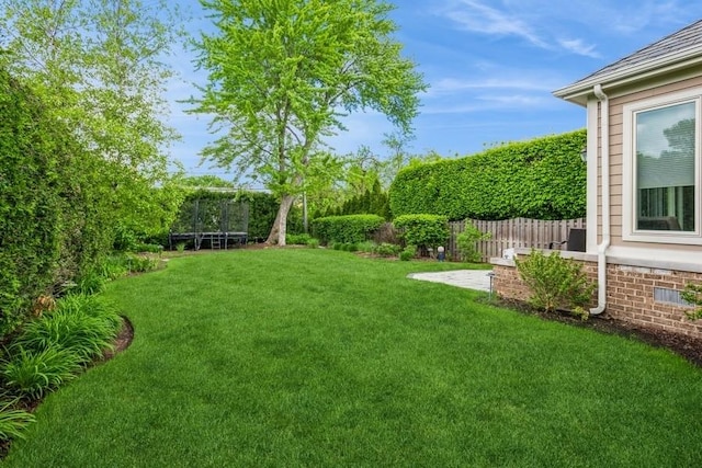 view of yard featuring a trampoline and a patio area