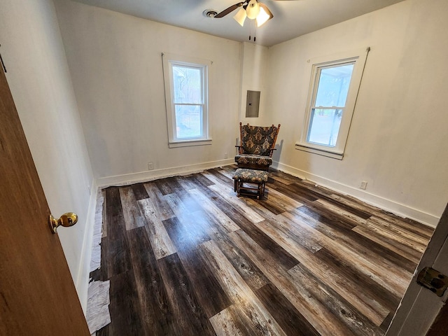 unfurnished room featuring dark hardwood / wood-style flooring, electric panel, and ceiling fan