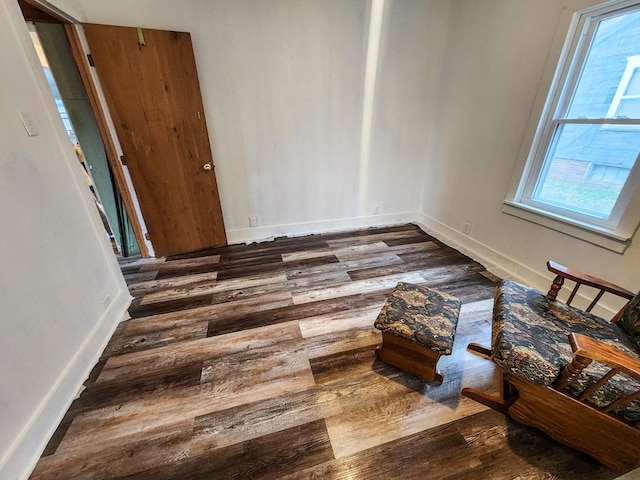 interior space featuring dark hardwood / wood-style floors and a wealth of natural light