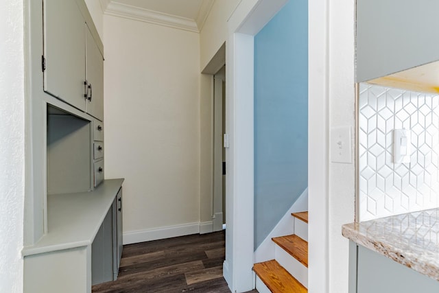 mudroom with dark wood-style floors, crown molding, and baseboards