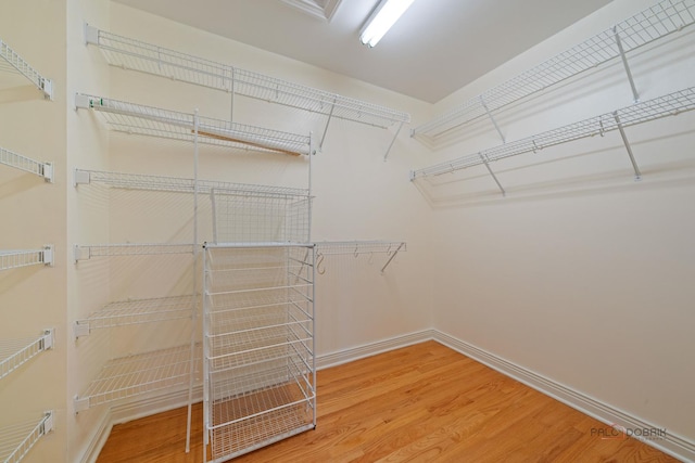 walk in closet with wood finished floors