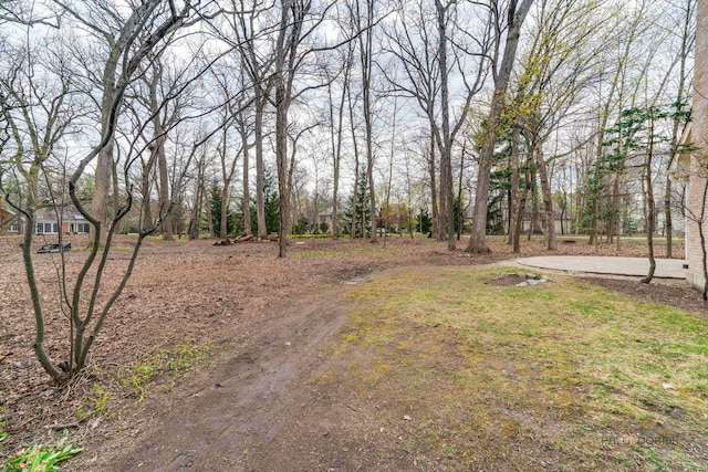view of road featuring dirt driveway