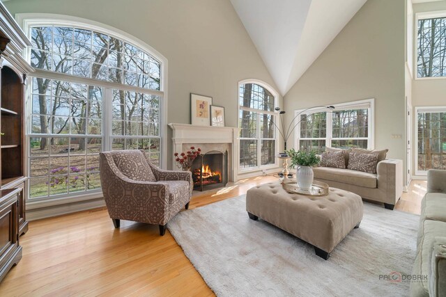 living area featuring light wood finished floors, high vaulted ceiling, and a lit fireplace