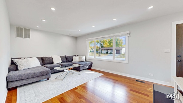 living room featuring wood-type flooring