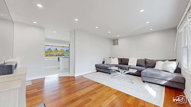 living room featuring hardwood / wood-style flooring