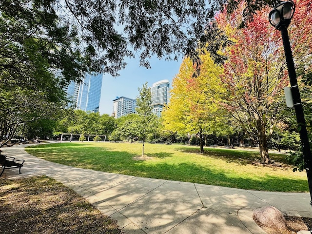 view of home's community with a yard