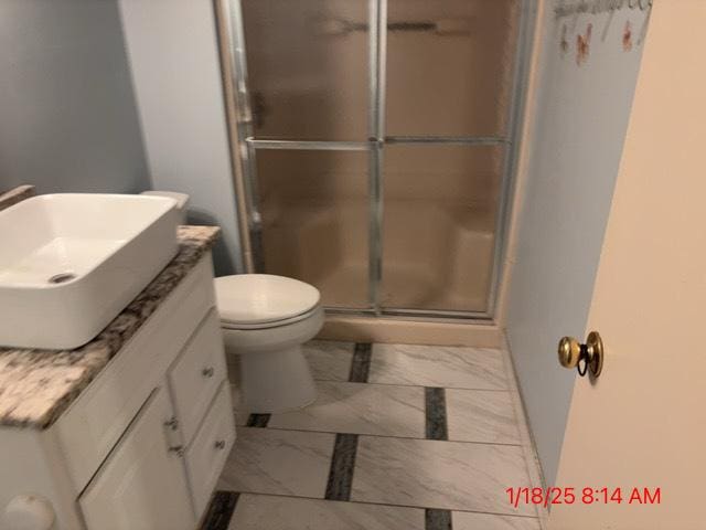 bathroom with vanity, an enclosed shower, and toilet