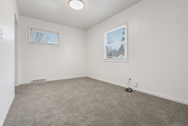 unfurnished room with carpet floors and a healthy amount of sunlight