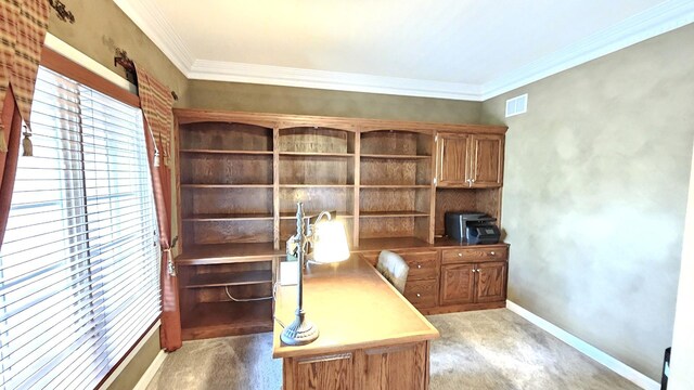 26357 S Lyndsay Dr, Channahon, IL 60410 - unfurnished office featuring ornamental molding and baseboards