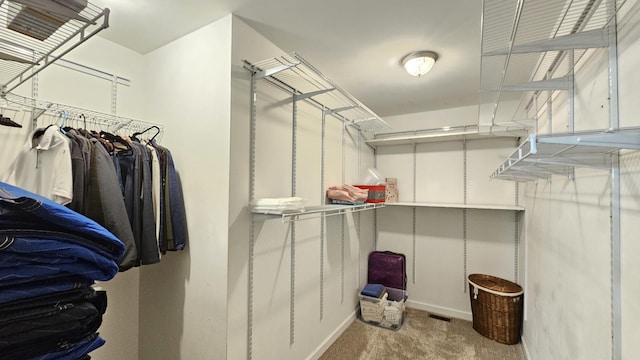 26357 S Lyndsay Dr, Channahon, IL 60410 - walk in closet featuring carpet flooring