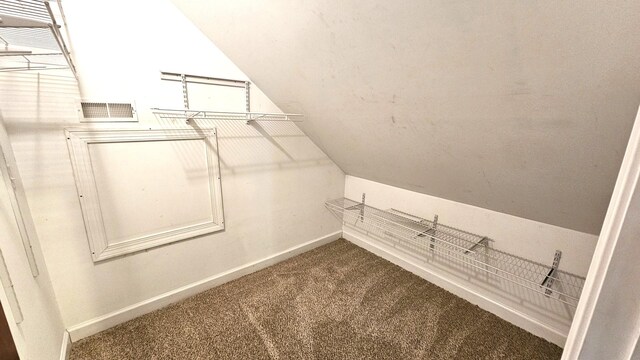 26357 S Lyndsay Dr, Channahon, IL 60410 - walk in closet featuring vaulted ceiling and carpet