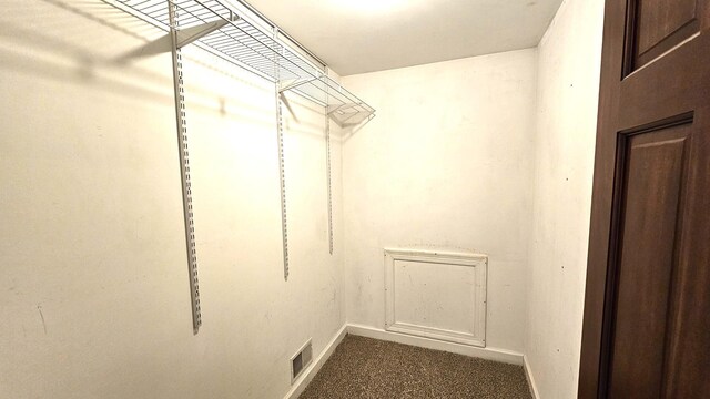 26357 S Lyndsay Dr, Channahon, IL 60410 - walk in closet with dark carpet