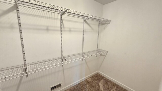 26357 S Lyndsay Dr, Channahon, IL 60410 - spacious closet featuring carpet floors