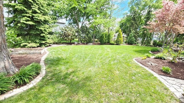 26357 S Lyndsay Dr, Channahon, IL 60410 - view of green lawn