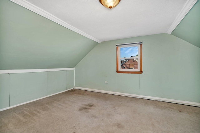 additional living space featuring lofted ceiling, carpet floors, and a textured ceiling