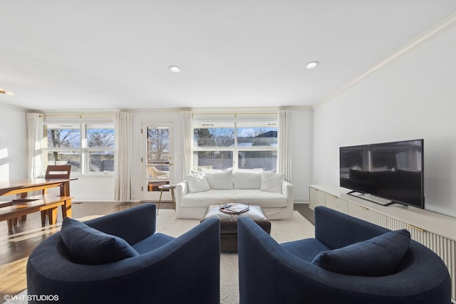 living room with crown molding and wood-type flooring